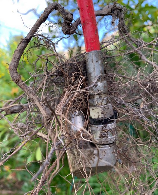 blocked drains